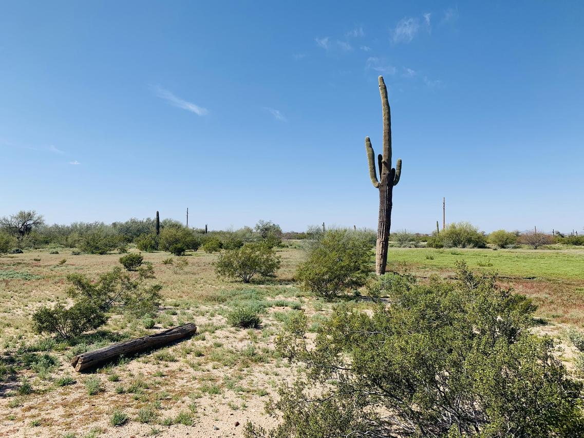 11935 N Diffin Rd. #-, Florence, AZ 85132