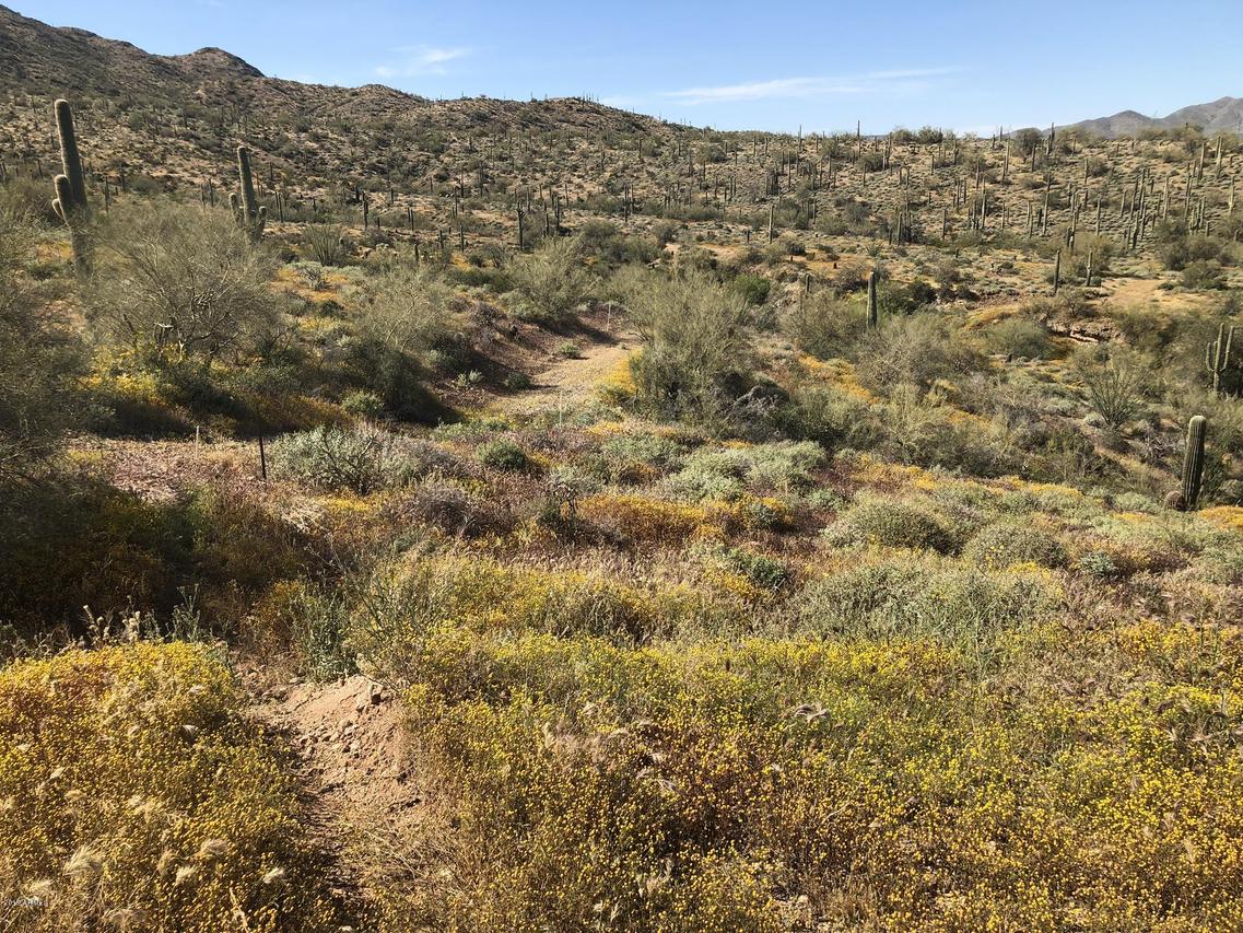 W Circle Mountain Rd. #-, New River, AZ 85087