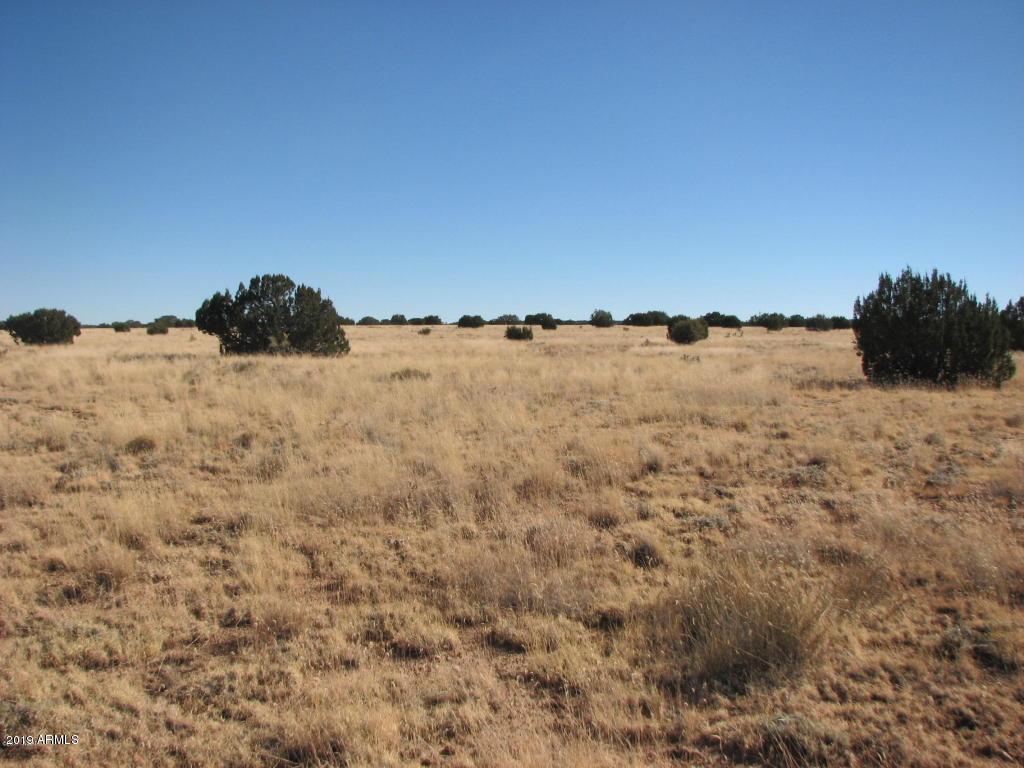 5054 Duck Lake Rd. #001, Heber, AZ 85928