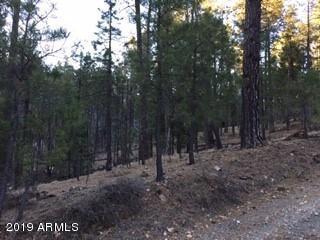 2XXX E Misty Mountain Loop #3, Prescott, AZ 86303