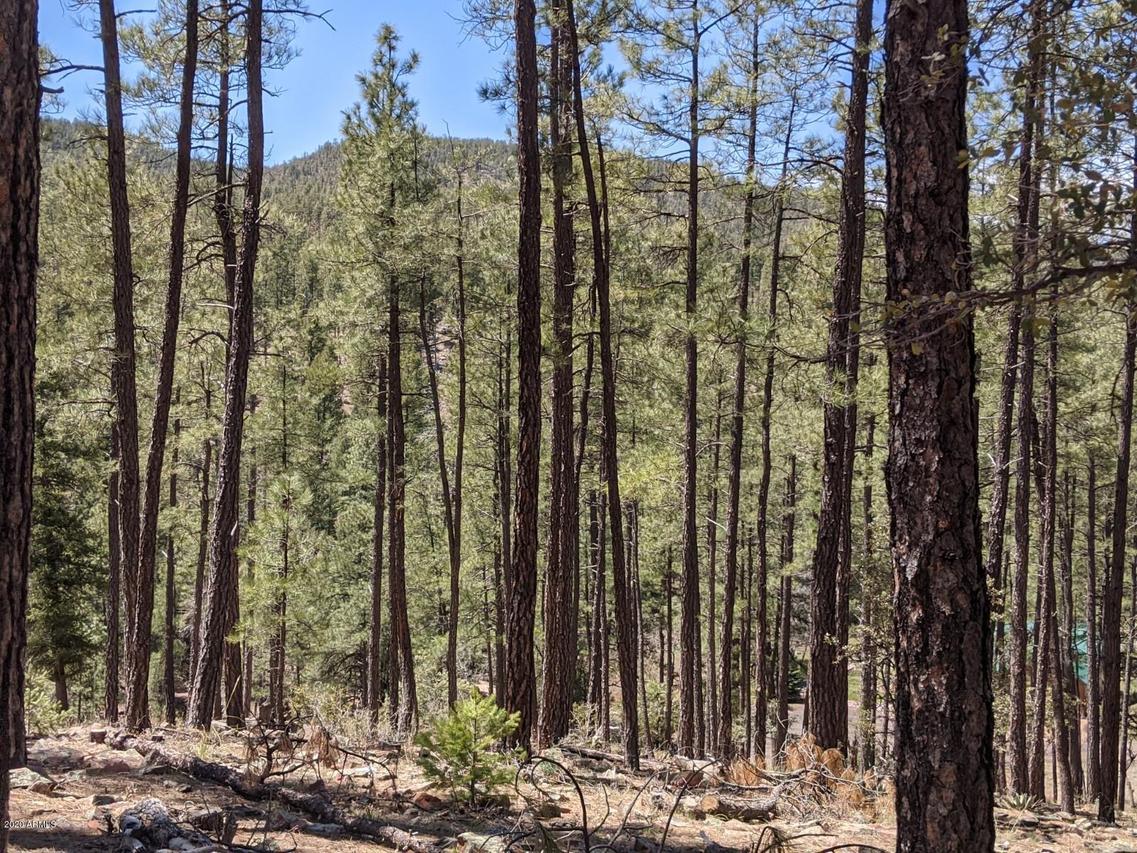 28 Wipila Wiki Dr., Christopher Creek, AZ 85541