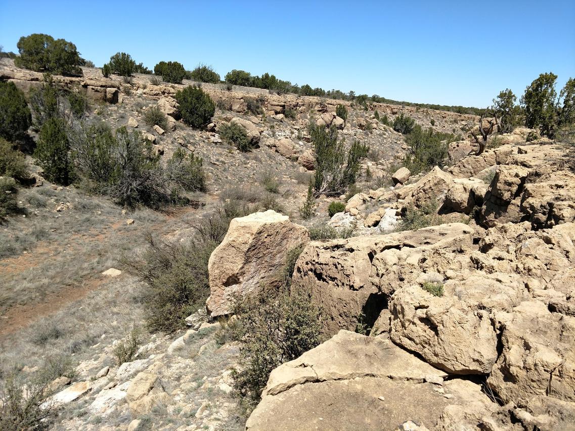 Sec.31 T15 N, R17e: Ne4 Sw4 #-SW4, Heber, AZ 85928