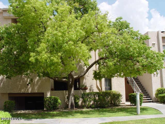 7510 E Thomas Rd. #220, Scottsdale, AZ 85251