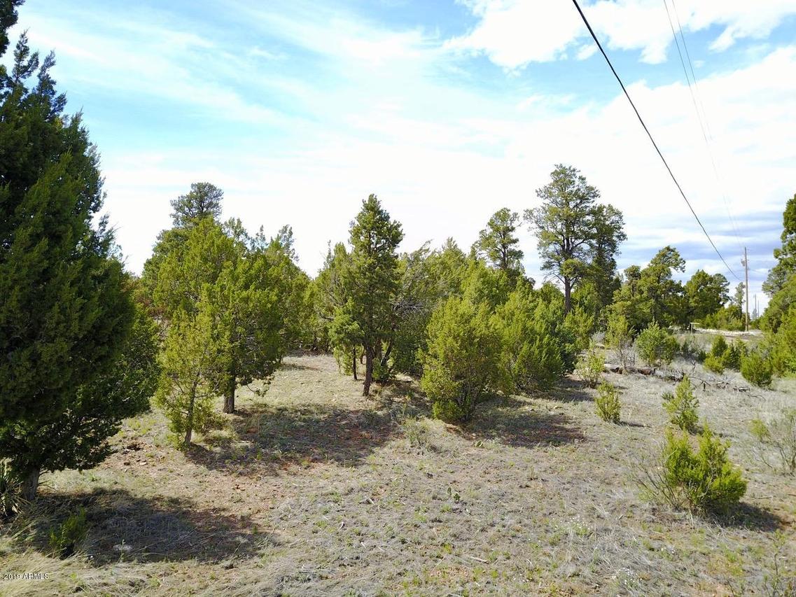 3326 Bear Heights #-, Heber, AZ 85928