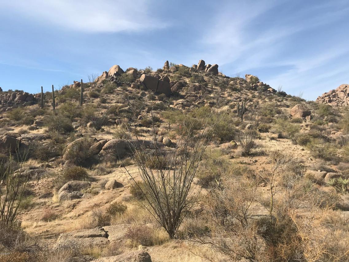 10671 E Hedgehog Pl. #5, Scottsdale, AZ 85262