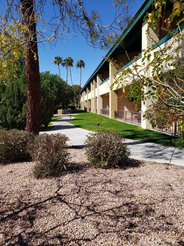 7350 N Pima Rd. #208, Scottsdale, AZ 85258