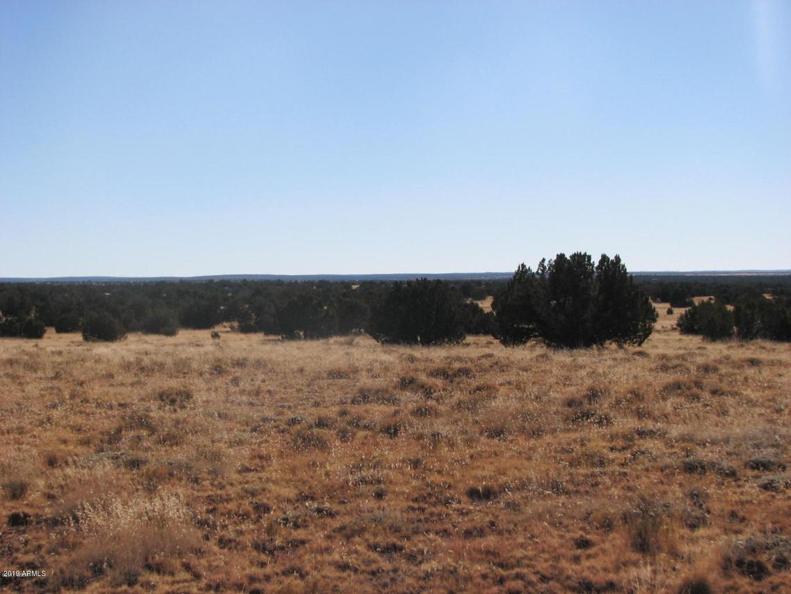 5918 Canyon View Dr. #144, Heber, AZ 85928