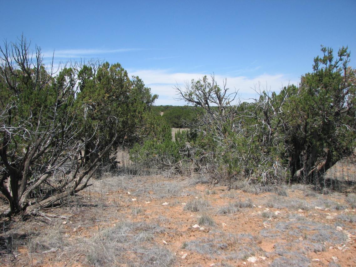 Sec 11 Chevelon Retreat #022, Heber, AZ 85928