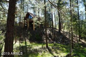 611 S Morris Mdws, Christopher Creek, AZ 85541
