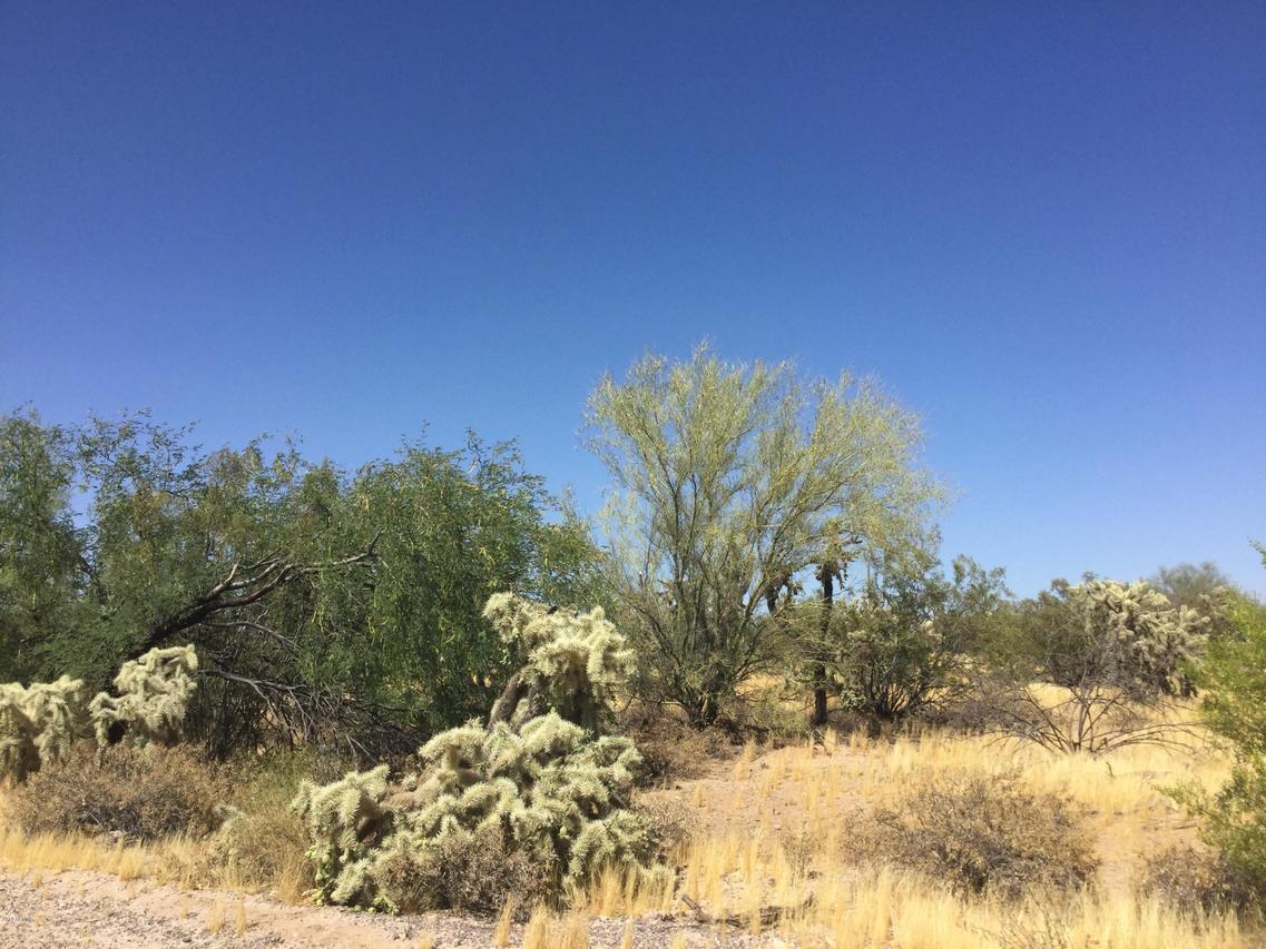 TBD N Thistle Dr. #22, Florence, AZ 85132