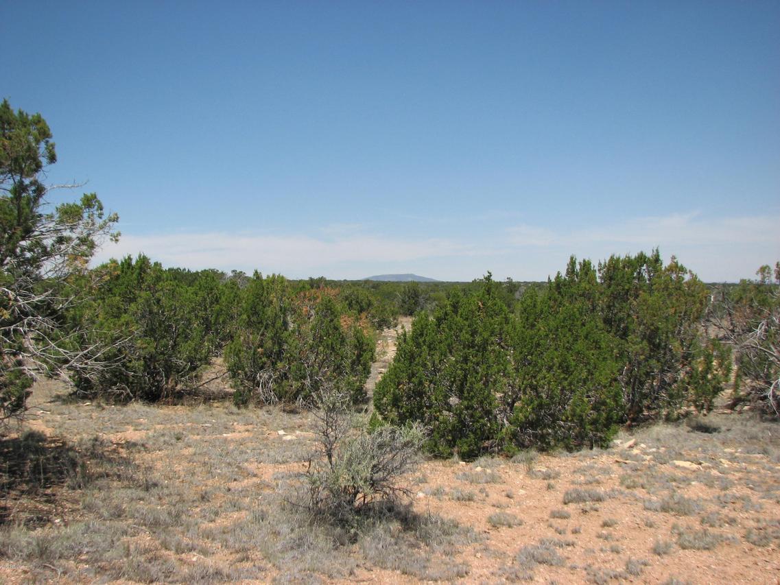 Sec 9 Chevelon Retreat #034, Heber, AZ 85928