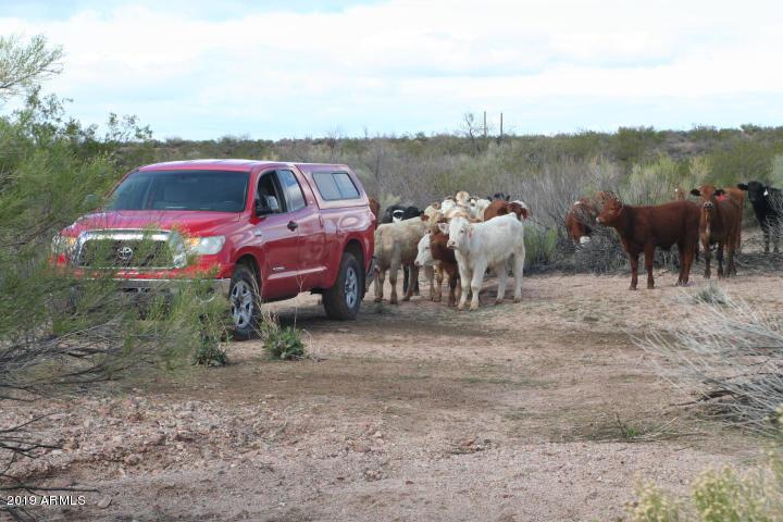 6 miles Gardenshire #Lot 94, Florence, AZ 85132