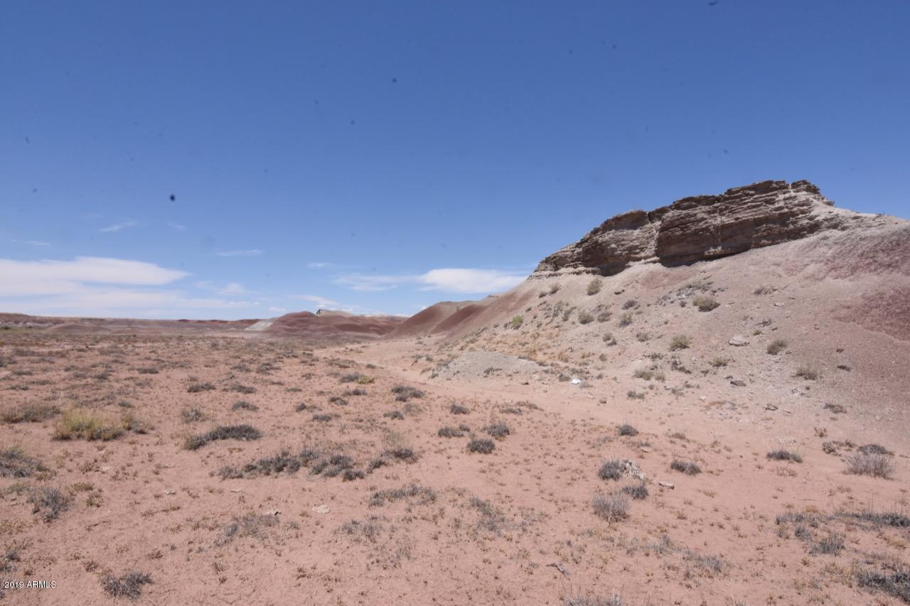 347 Painted Desert Ranches #-, Sun Valley, AZ 86029