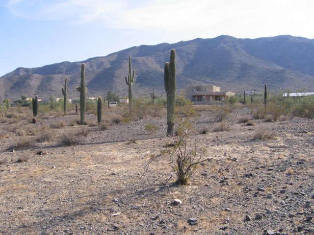 2415 W Olney Ave. #1, Phoenix, AZ 85041