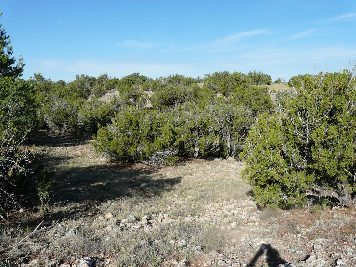 000 Antelope Drive #73, Heber, AZ 85928