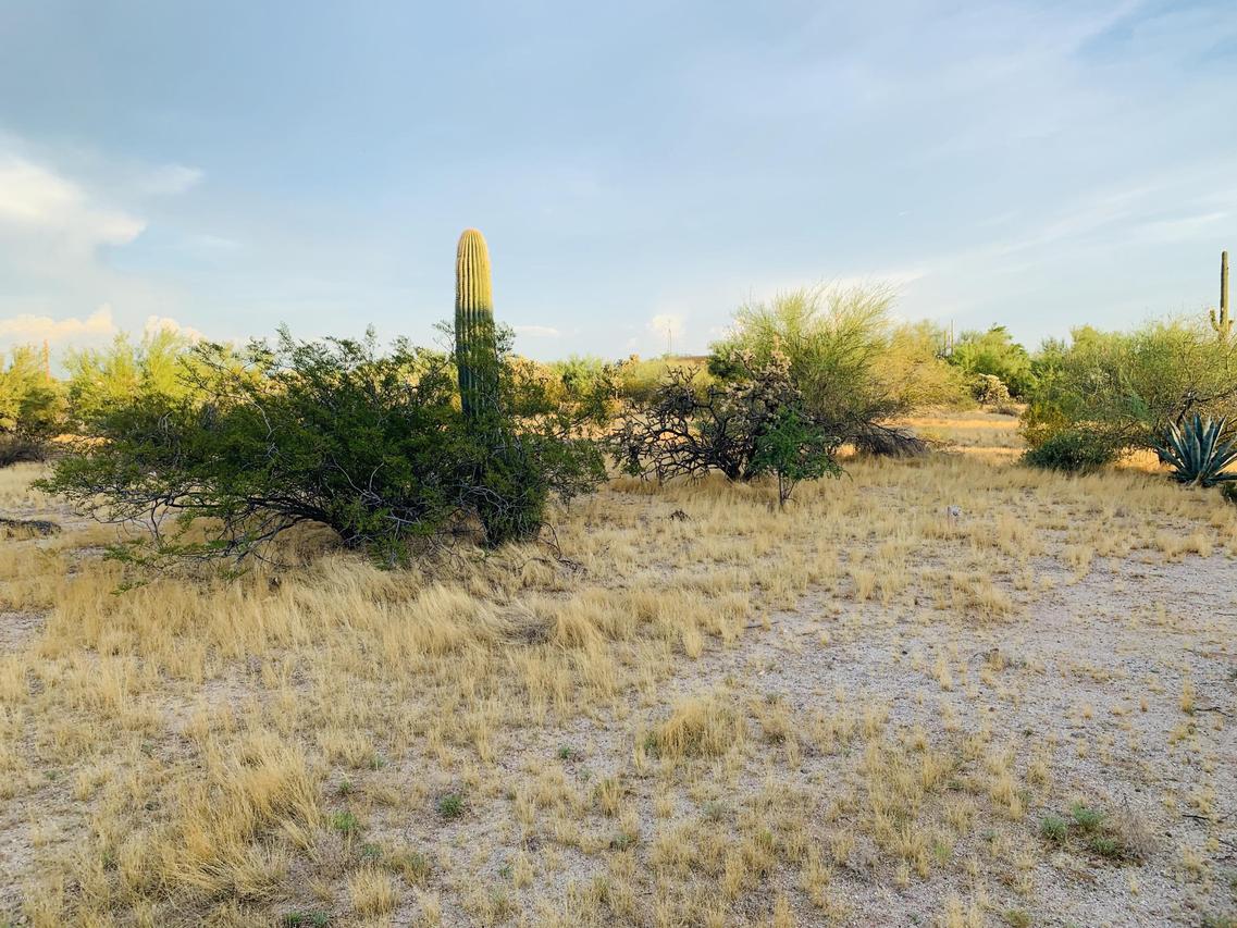 3502 N Razorback Dr. #3, Florence, AZ 85132