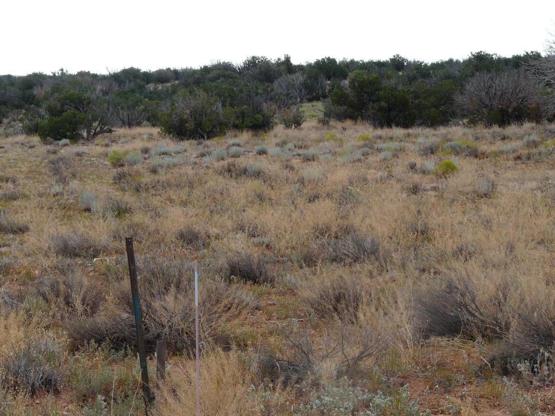 Lot 251 Ccr Unit 2 Lot 251 #251, Heber, AZ 85928