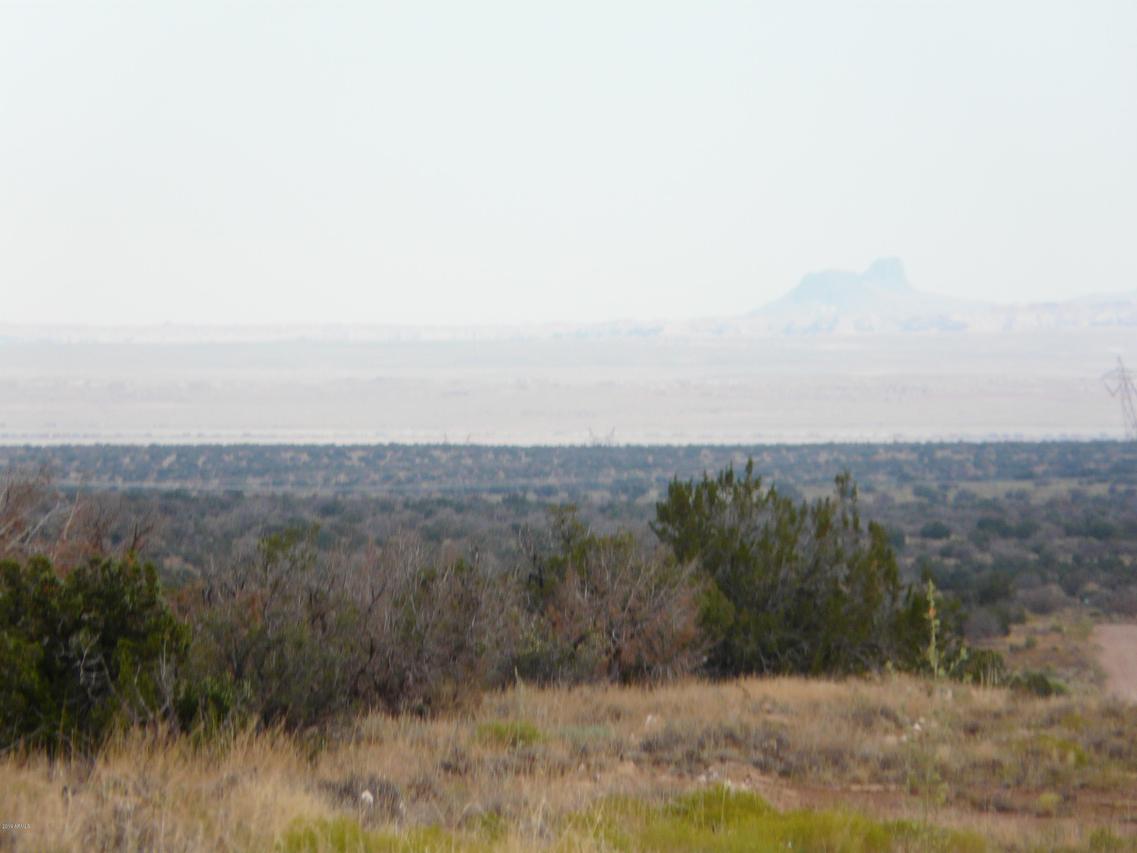 Lot 254 Ccr Unit 2 #254, Heber, AZ 85928