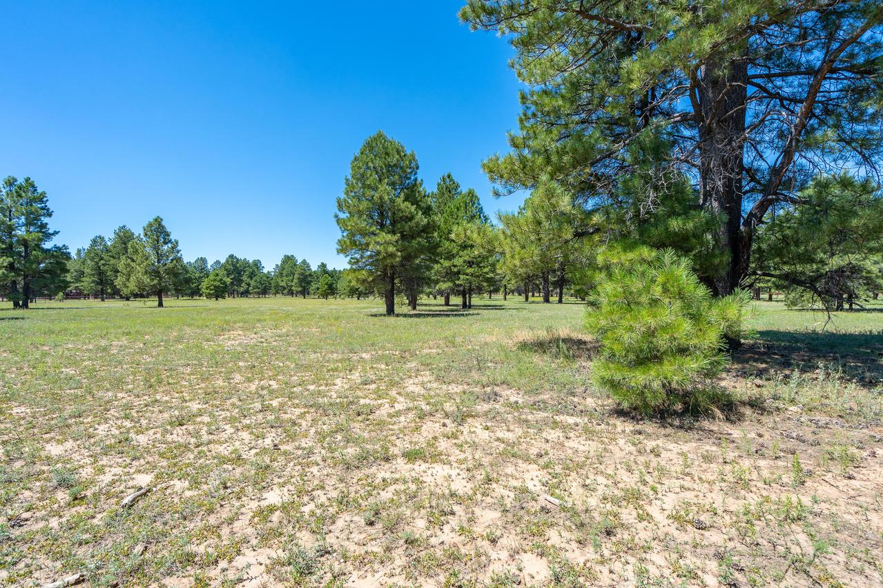 3776 E Twilight Way, Flagstaff, AZ 86005