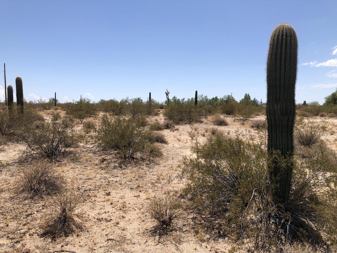 23485 E Orville St. #-, Florence, AZ 85132