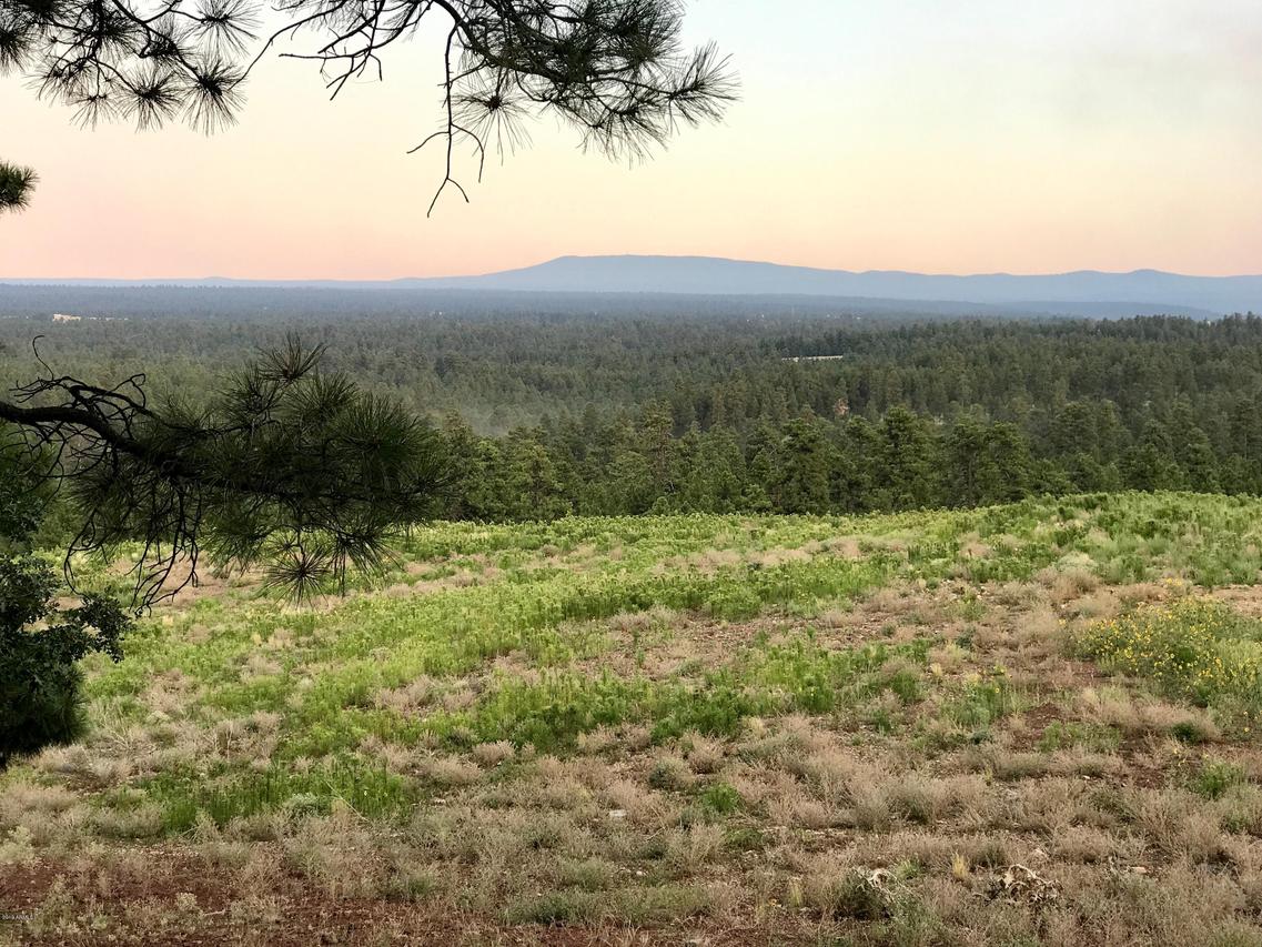 4805 S Snaffle Bit Rd. #128, Flagstaff, AZ 86005