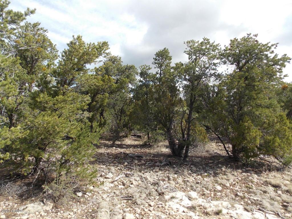 TBD Whisper Ln. #1, Heber, AZ 85928