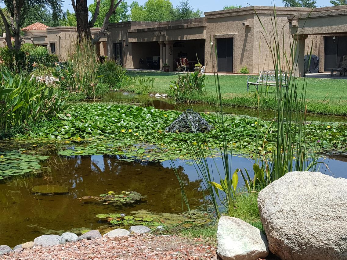 [Address Hidden by Seller], Peoria, AZ 85382
