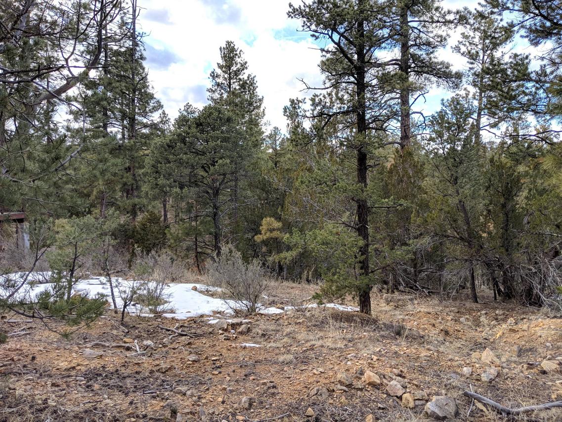 3409 Hide Away Cir. #5, Heber, AZ 85928