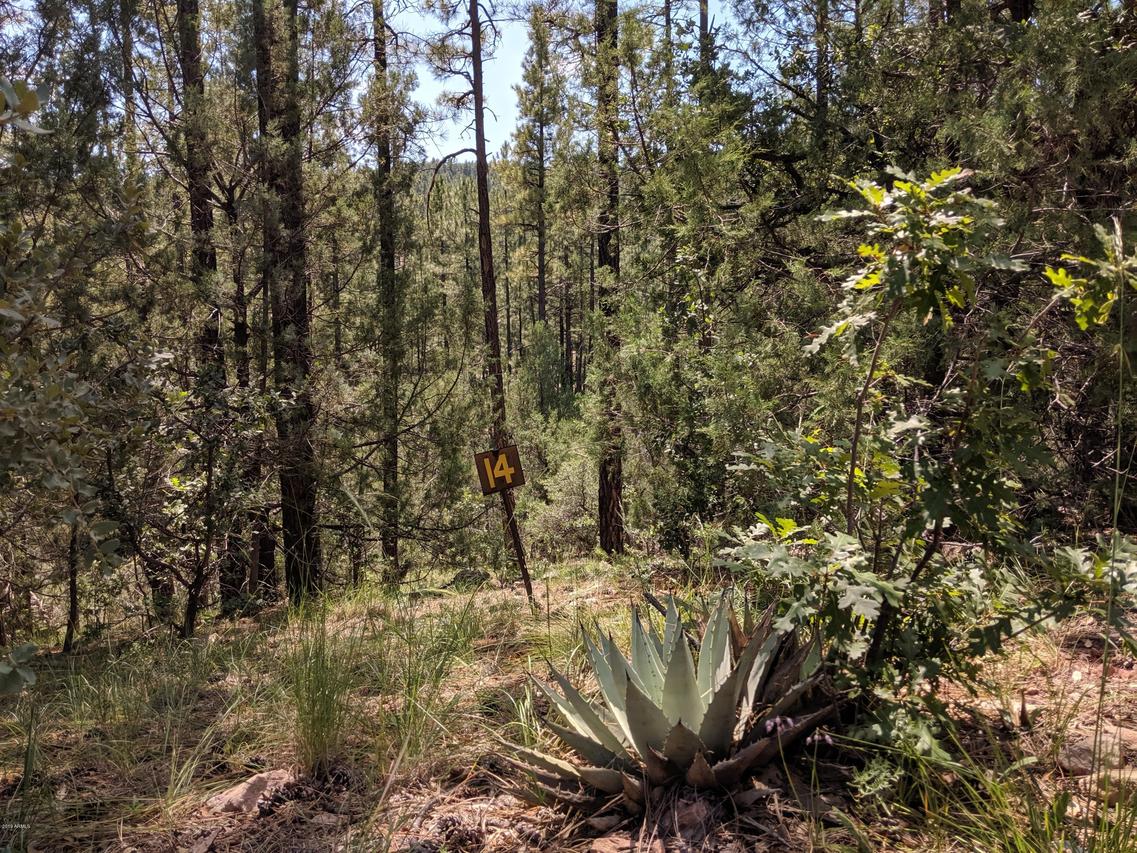 Lot 14 Wipila Wiki #14, Christopher Creek, AZ 85541