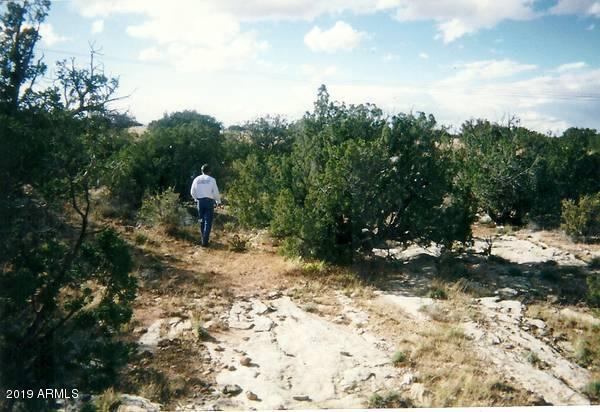 Lot 214 Ccr Unit 2 #214, Heber, AZ 85928