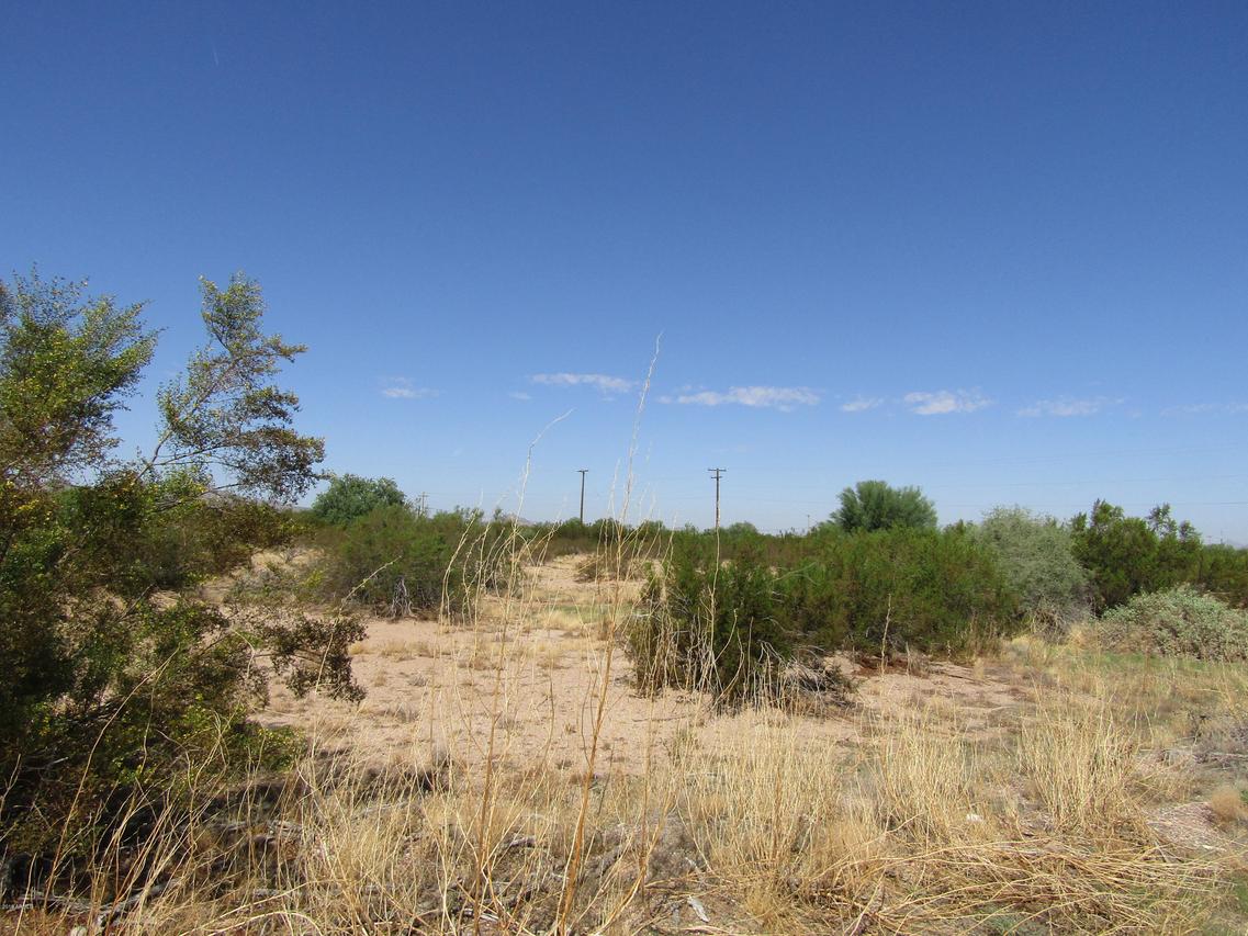 396 N Tejon Rd. #15, Maricopa, AZ 85139