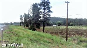 3521 S White Mountain Rd. #-, Show Low, AZ 85901