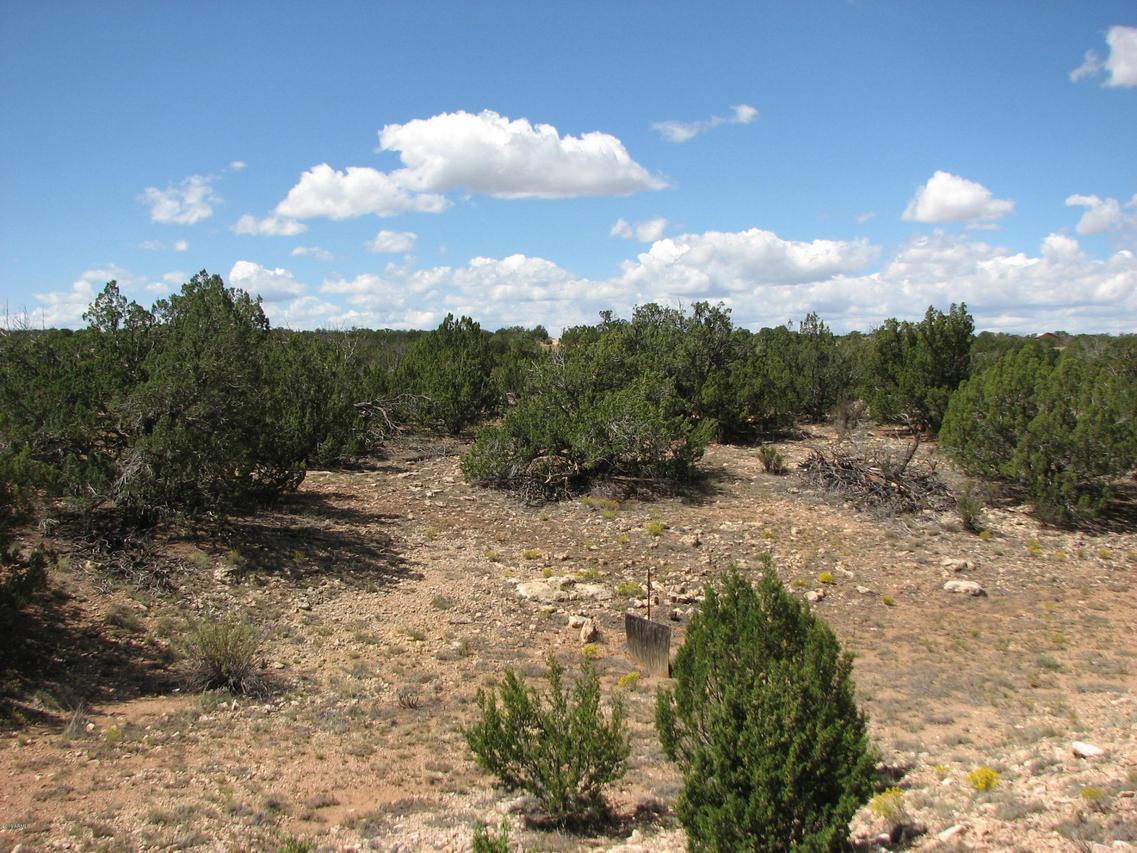 Lot 30 Chevelon Retreat #1 #30, Heber, AZ 85928
