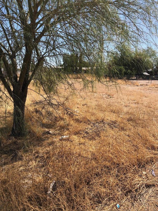 4715 N Apache Dr. #316, Casa Grande, AZ 85194