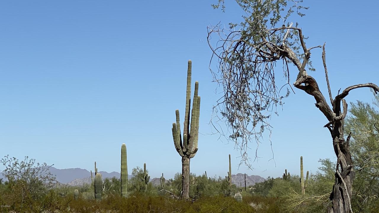 W Dune Shadow (lot 34) Rd. #34, Maricopa, AZ 85139