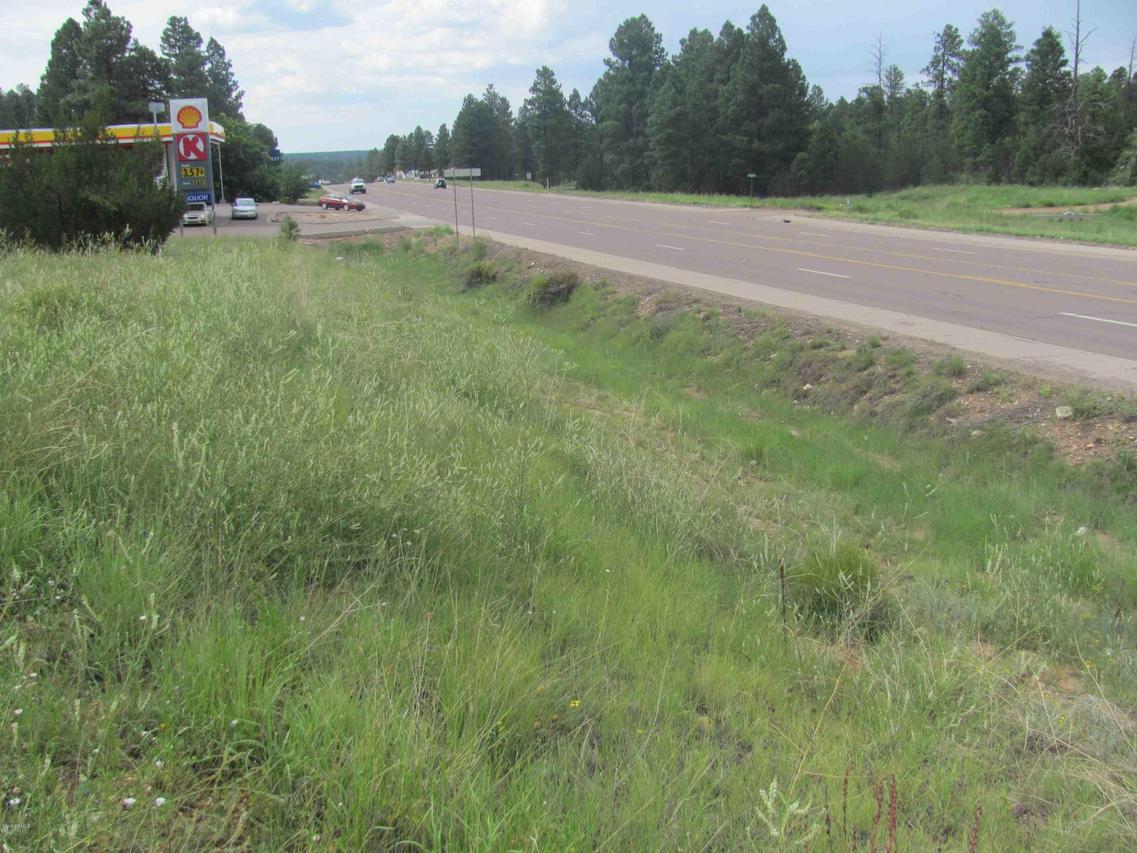 1957 Highway 260 #172, Heber, AZ 85928