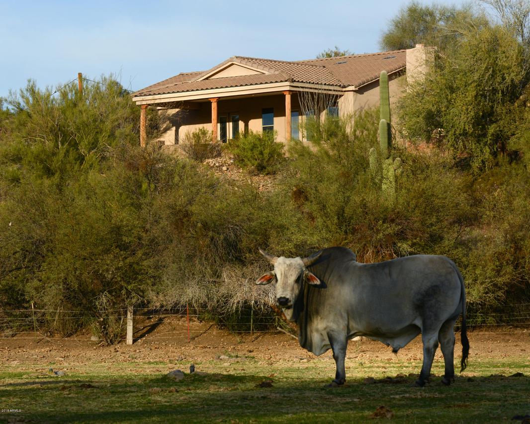 27706 W Mccarroll Rd., Morristown, AZ 85342