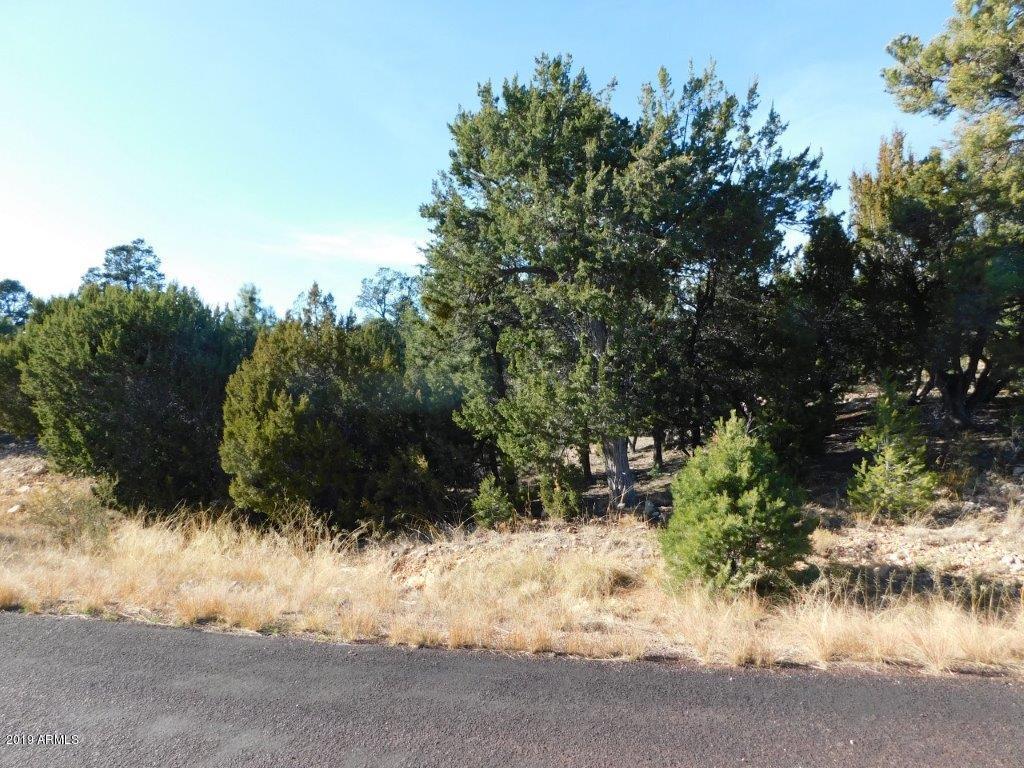1541 Rocky Top Dr. #91, Heber, AZ 85928