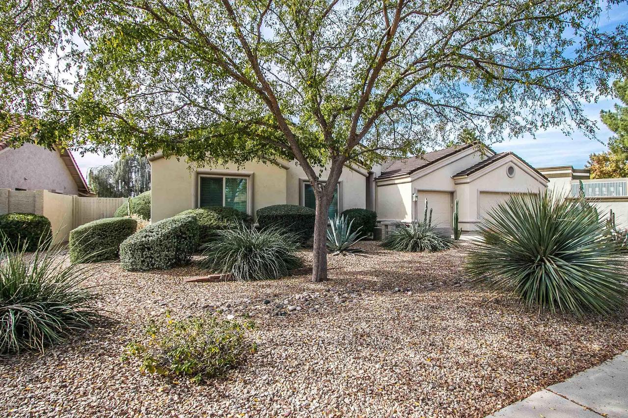 4901 E Cholla St., Scottsdale, AZ 85254