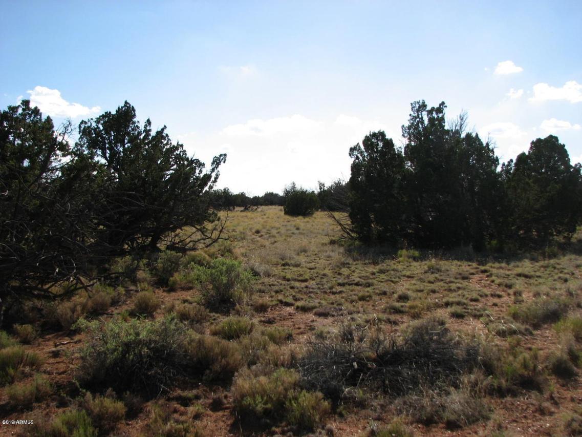 Sec 33 Chevelon Retreat #017, Heber, AZ 85928