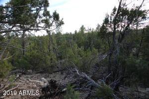 3354 Skyline Ln. #-, Heber, AZ 85928
