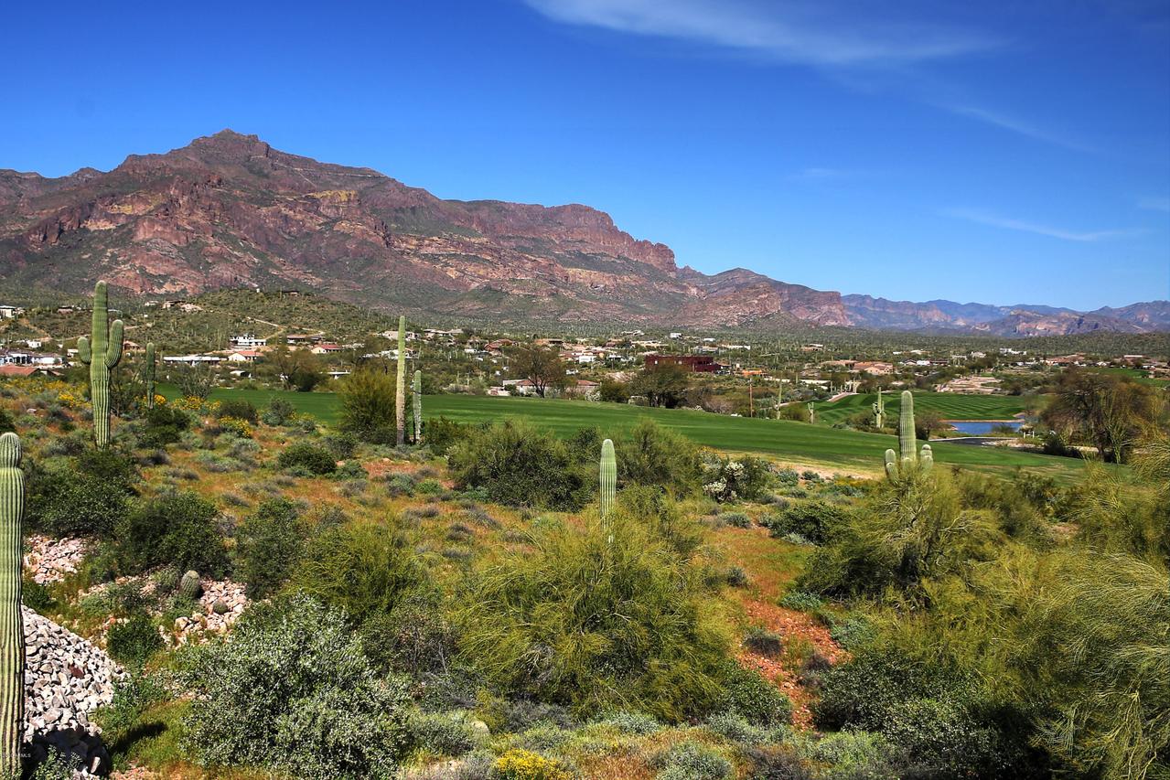 4161 S Avenida De Angeles Dr. #59, Gold Canyon, AZ 85219