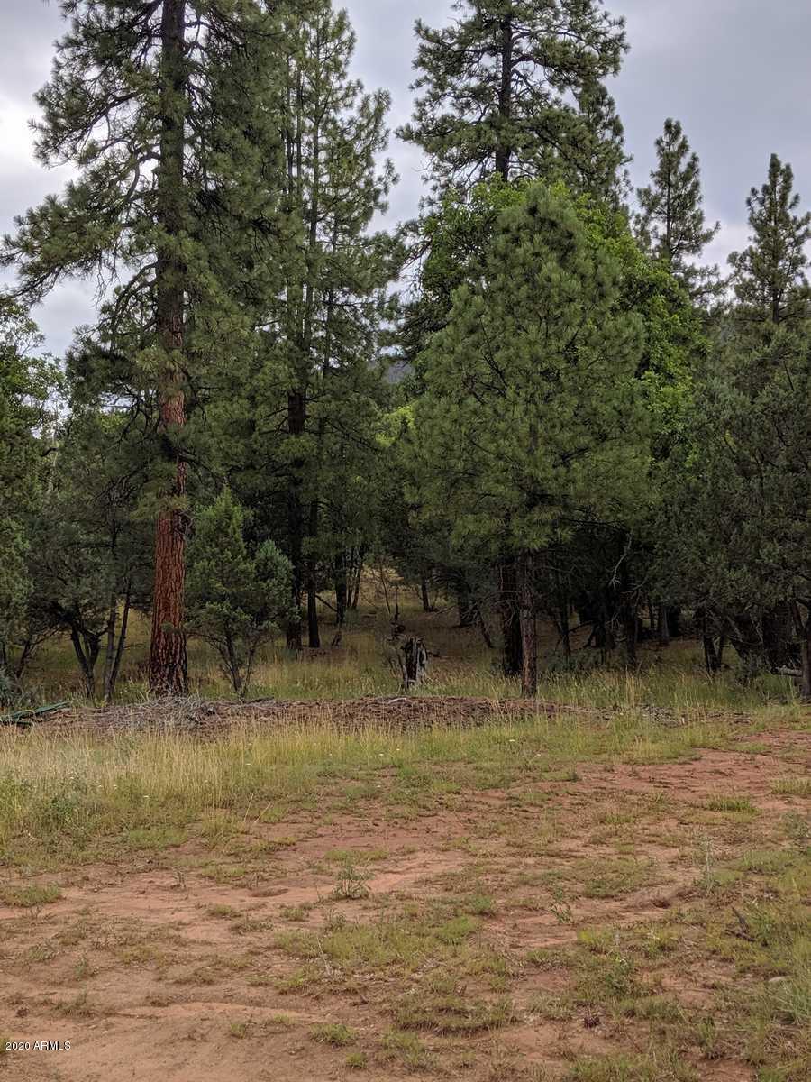 Parcel 63 Leisure Rd. #63, Christopher Creek, AZ 85541