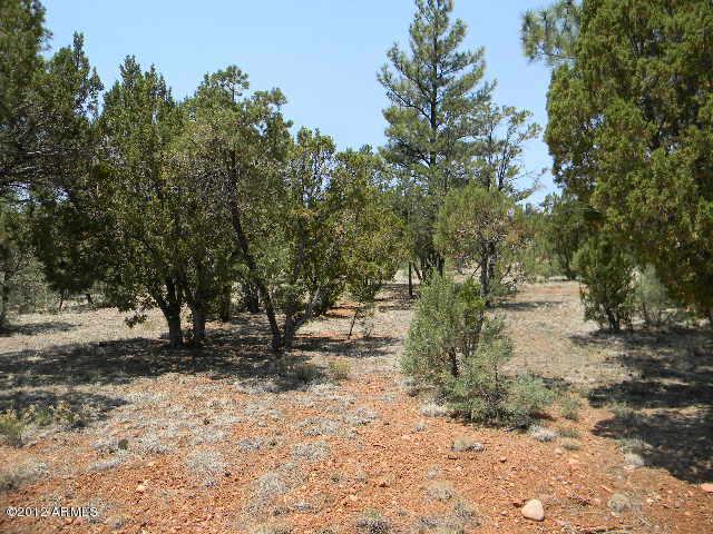 2760 Jaguar Cir. #303, Overgaard, AZ 85933