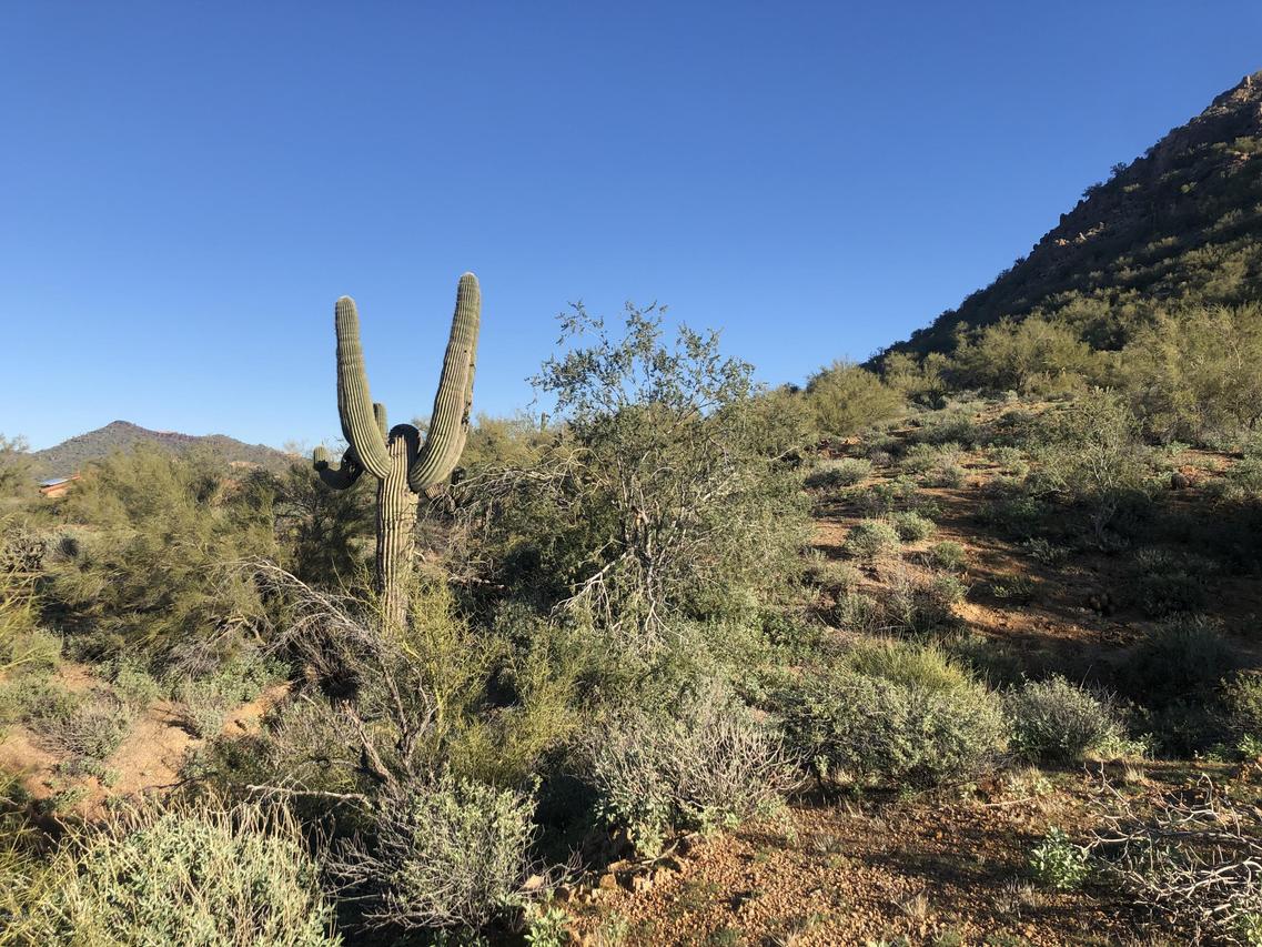 35113 N 25th Ave. #4, Phoenix, AZ 85086