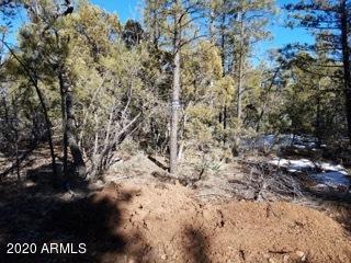 4410 W Rim Rd. #-, Lakeside, AZ 85929