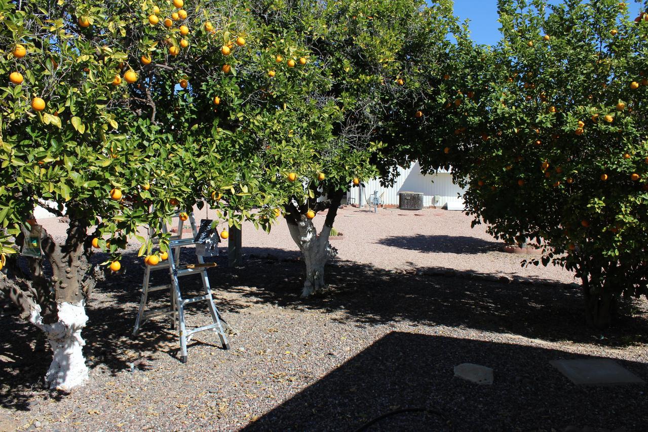 2563 N Lema Dr., Mesa, AZ 85215