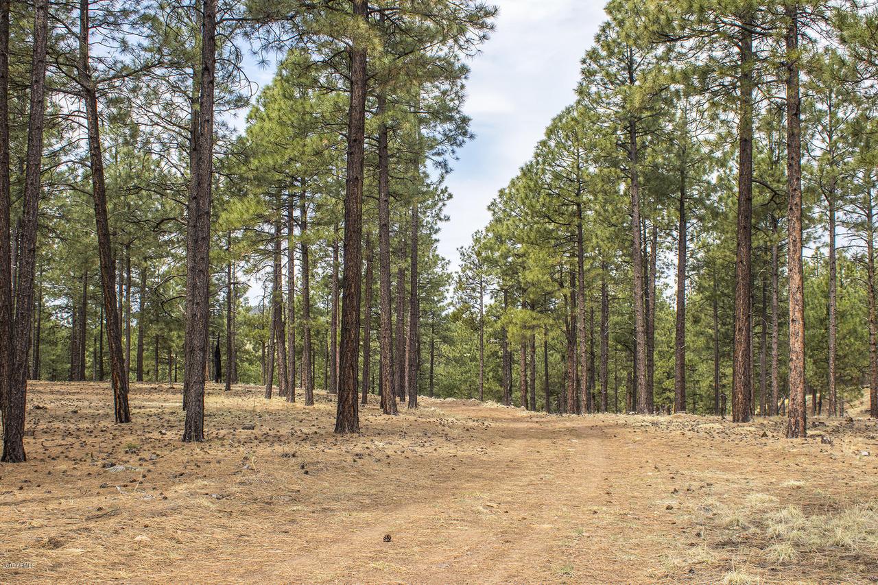 N Belle Springs Rd. #-, Flagstaff, AZ 86001