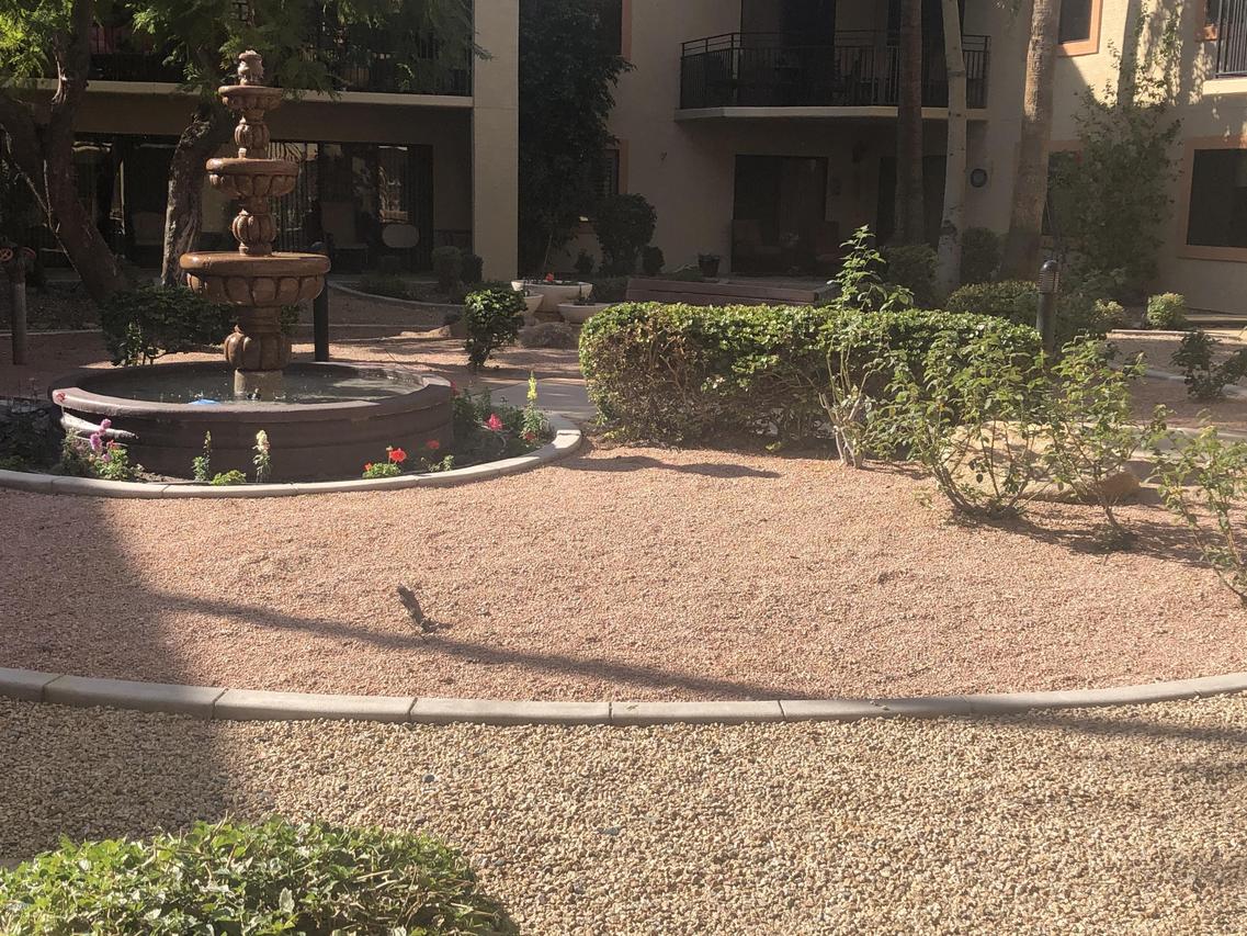 10330 W Thunderbird Blvd. #A106, Sun City, AZ 85351