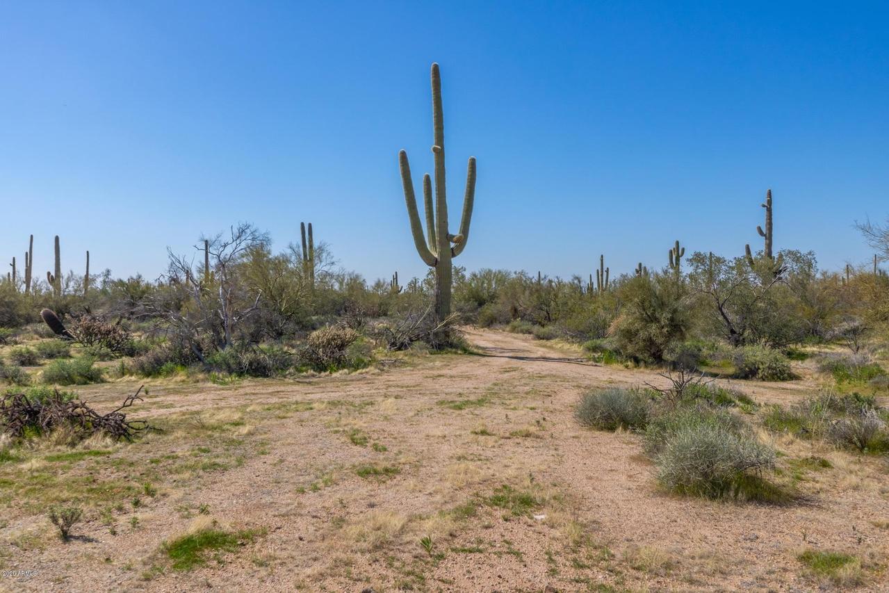 8151 E Dixileta Dr. #-, Scottsdale, AZ 85266